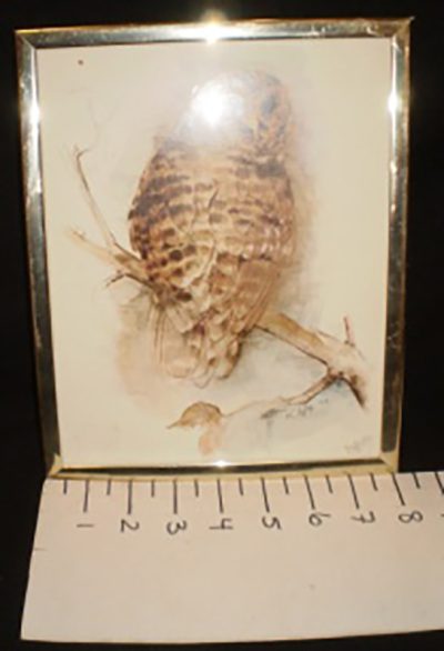 8x10 gold coloured metallic frame;